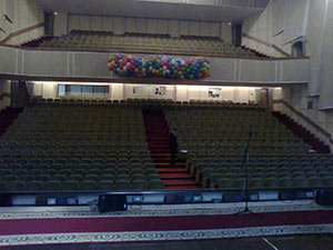 Сетка с воздушными шарами