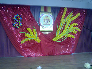 Мимоза из шаров