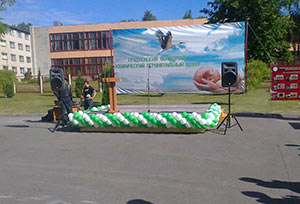 Сцена на  улице в шарах