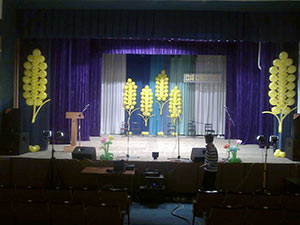 колосья из шаров