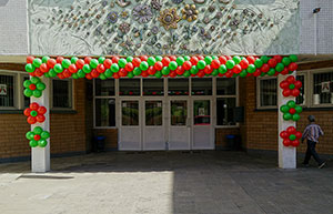 Школа вход шары