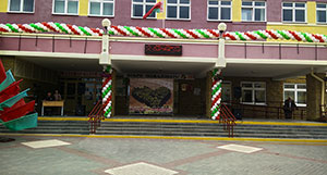 шары на школе