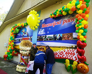 Гирлянда из шаров разнокалиберная Гудевичи