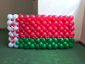 Флаг Беларуси из шаров