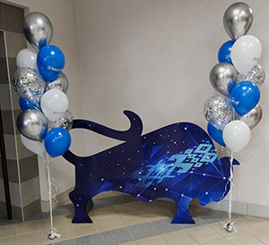 Шары с гелием зубр