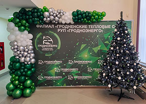 Фотозона и ёлка