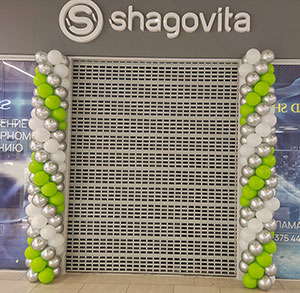 открытие Shagovita