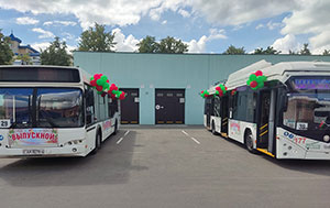 автобусы украшены шарами