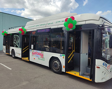 автобусы украшены шарами