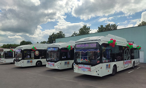 автобусы украшены шарами