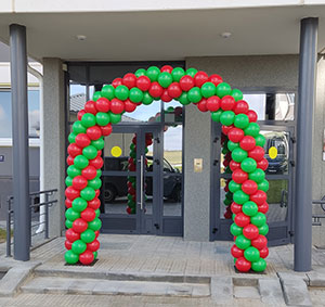 арка под белорусский флаг