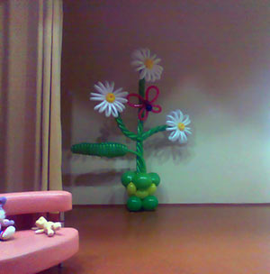 ромашки на сцене из шаров