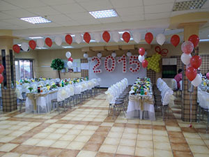 выпукс 2015 из шаров