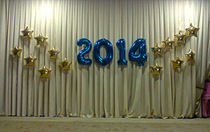 2014 из шаров